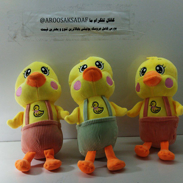 جوجه دوبنده صدف