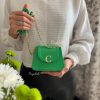کیف زنانه بگ شیک