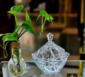 شکلات خوری الینور(نوری تازه)
