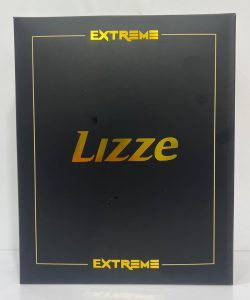 سشوار موتور سنگین Lizze