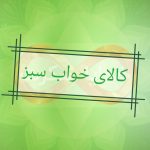 پخش عمده کالای خواب سبز
