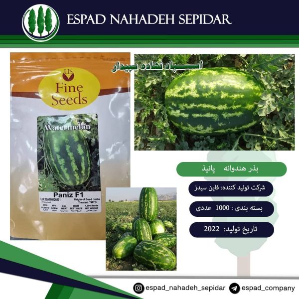 بذر هندوانه بذر هندوانه