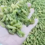 کشمش زرد و سبز درجه 1