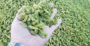 کشمش و مویز