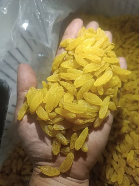 کشمش زرد و سبز درجه ۱
