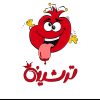 پخش عمده لواشک و ترشک ترشینه پخش