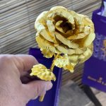 گل رز طلایی