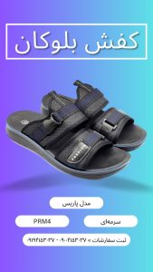 دمپایی مردانه پاریس
