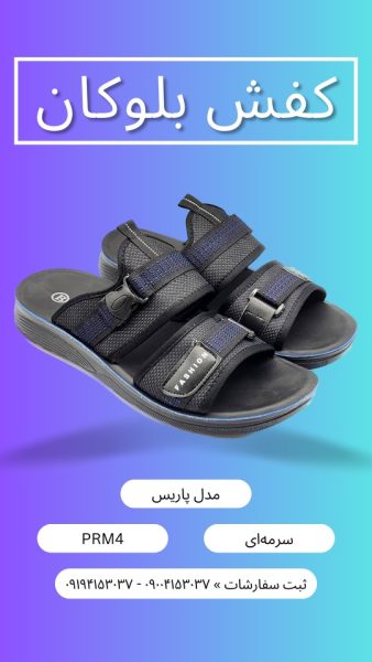 دمپایی مردانه پاریس