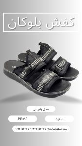 دمپایی مردانه پاریس
