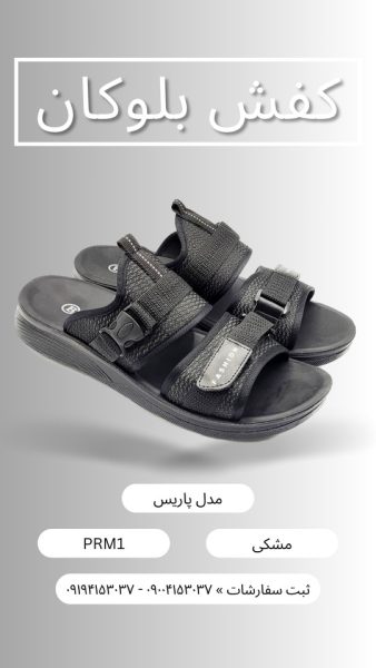 دمپایی مردانه پاریس
