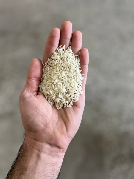 برنج طارم محلی
