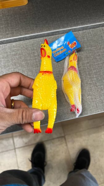 ابزار شوخی مرغ نالان