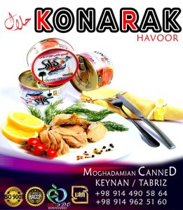 کنسرو تن ماهی کنارک