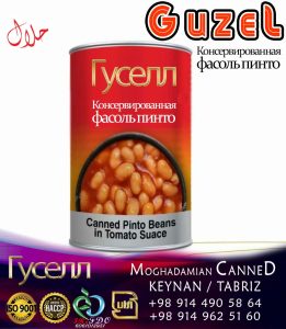 کنسرولوبیا چیتی PINTO BEANS
