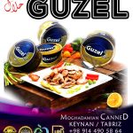 تولد کننده کنسروسازی مقدمیان