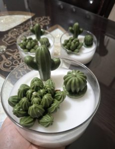شات شمع کاکتوس
