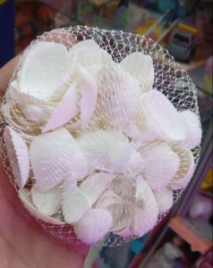صدف دریایی