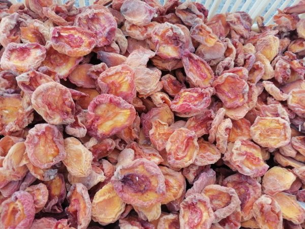 میوه خشک