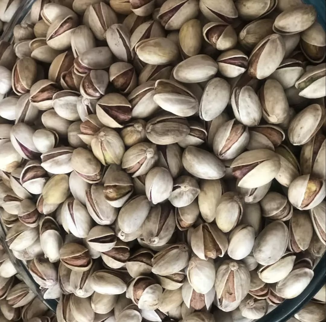 پسته کله قوچی اعلا پسته کله قوچی اعلا