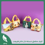 کیف هندزفری