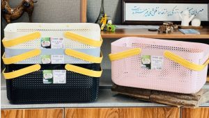 سبد پیک نیک ایکیا