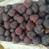 پخش دفاتر اداری و مدارس پارس + لیست محصولات - خرید عمده