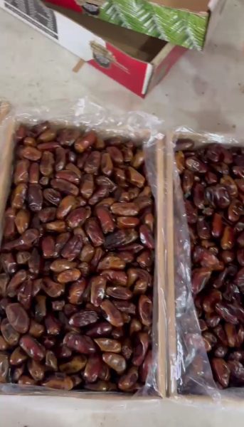 خرمای استعمران خرمای استعمران