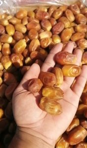 خرما زاهدی درجه یک