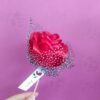 گل رز قرمز روبانی شاخه ای