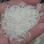 برنج طارم هاشمی معطر دابو مازندران