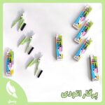 پرگار اتودی