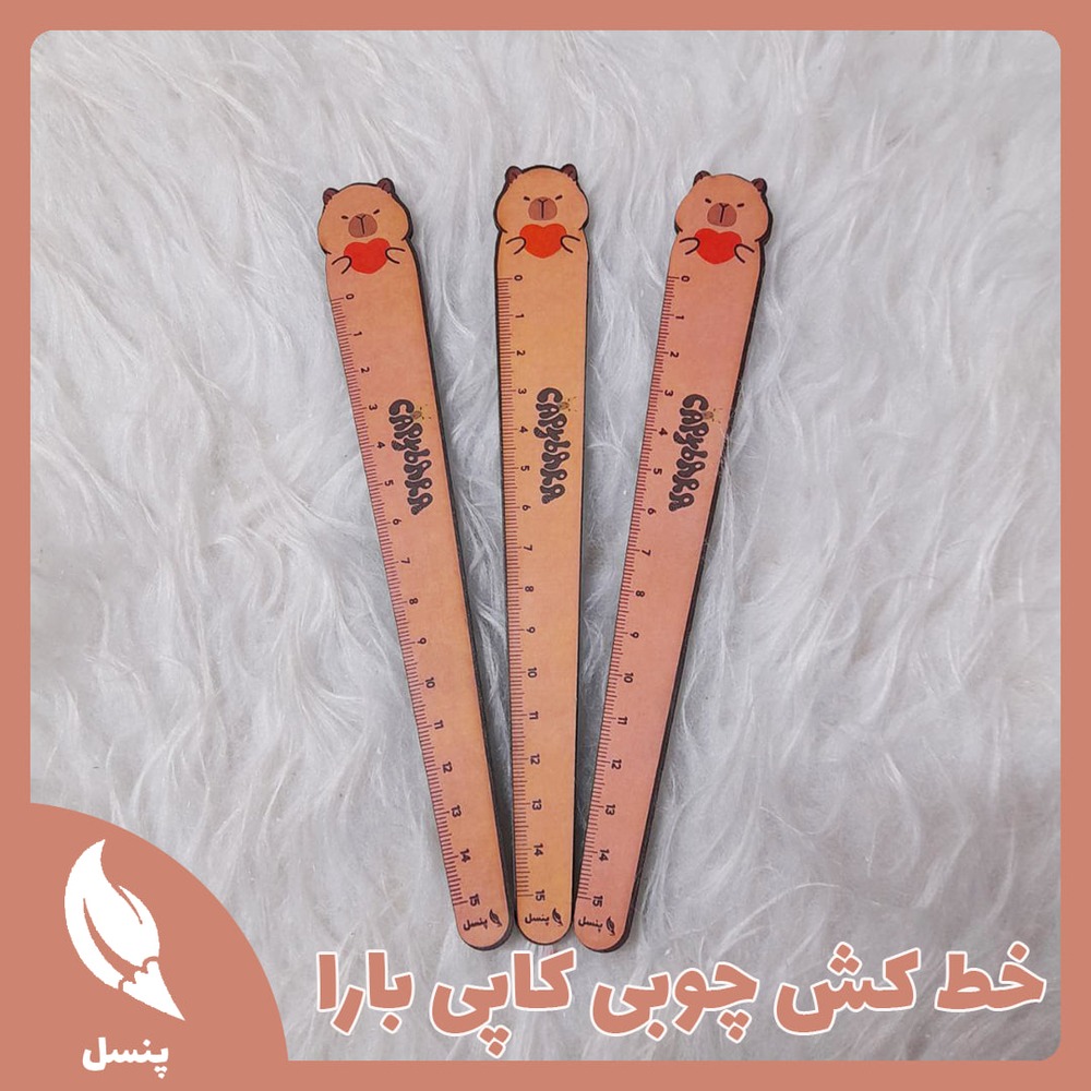 خط کش چوبی کاپی بارا