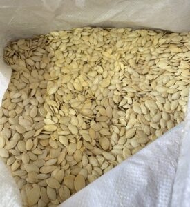 کدو گوشتی خارجی