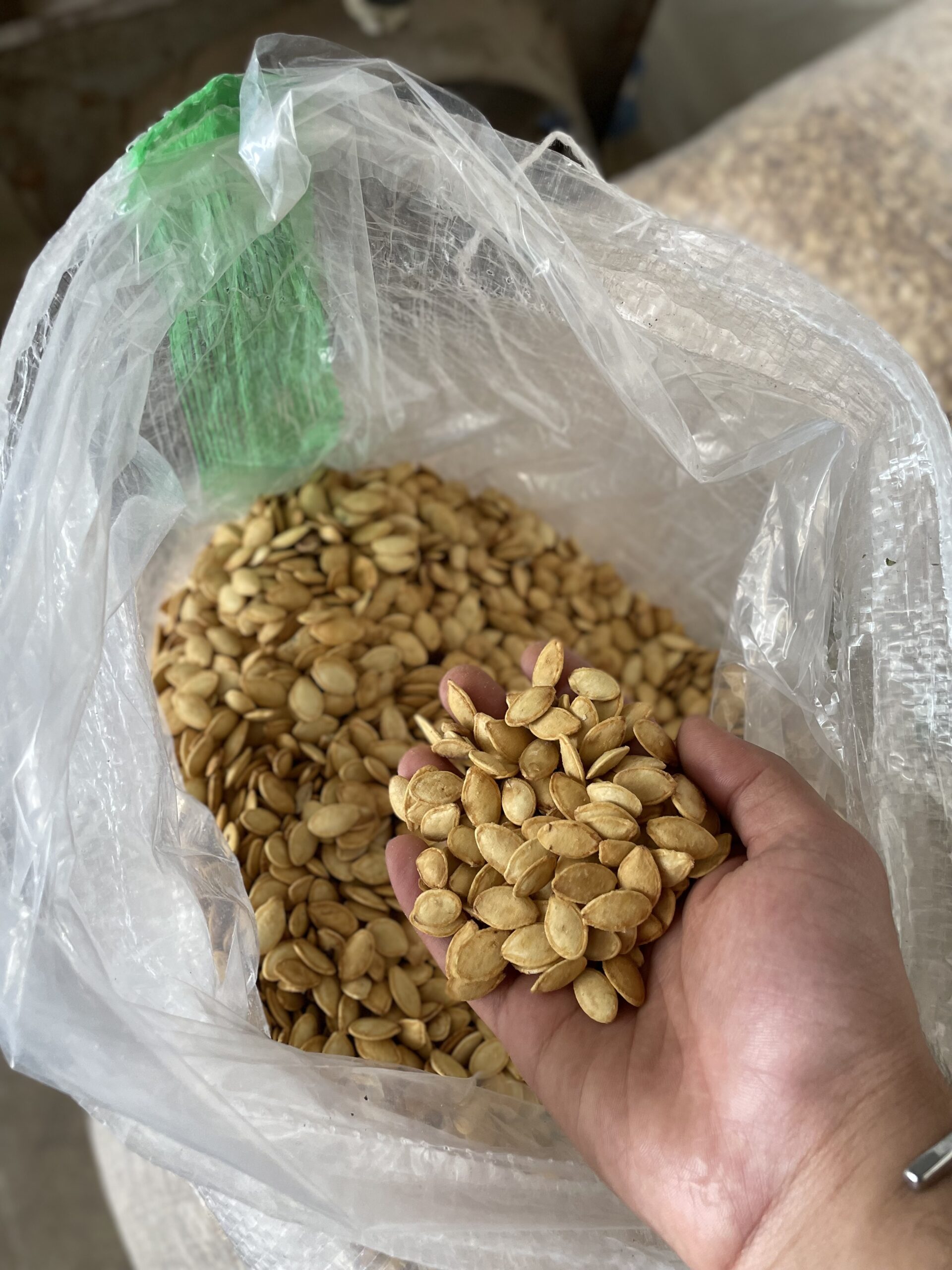 تخمه کدو گوشتی ایرانی