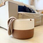 نظم دهنده استوانه ای