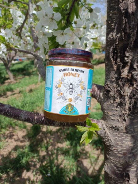 عسل گون گزانگبین طبیعی