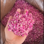 برگ گل محمدی