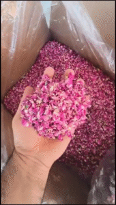 برگ گل محمدی