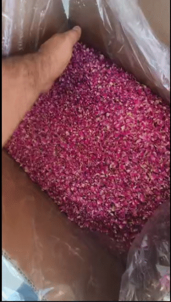 برگ گل محمدی