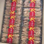 ریشه جنسینگ
