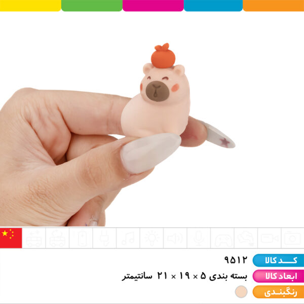 پاک کن فانتزی کاپی پارا