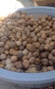 آب معدنی - خرید عمده