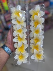 کلیپس و گلسر و گیره مو