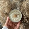 تولید کننده دکور و ظروف شیشه ای بنی جواد + لیست محصولات - خرید عمده