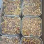 انجیر خشک ازمیر طرح گل