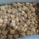 مغز گردو لوکس ایرانی