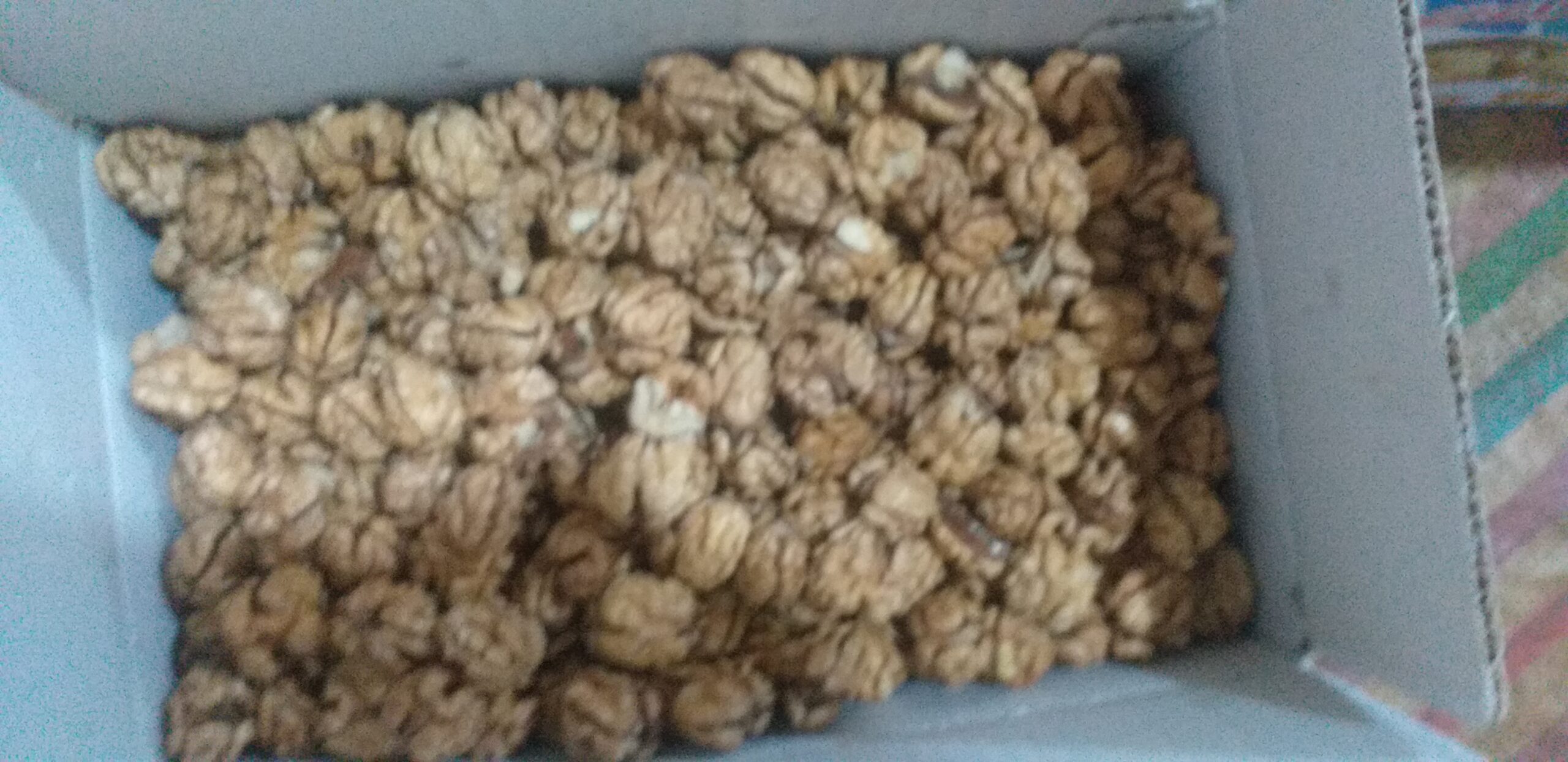 مغز گردو لوکس ایرانی مغز گردو لوکس ایرانی