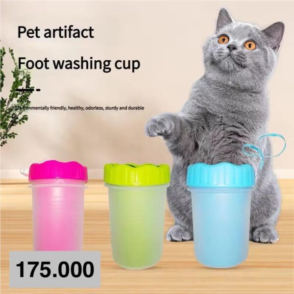 پنج شور پنج شور