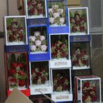 باکس گل شیشه ای مصنوعی